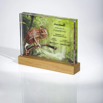 Unique Financial Tombstone made of acrylic glass and wood