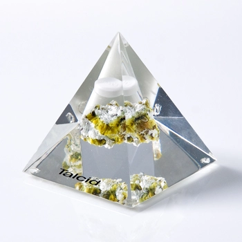 Acrylic embedment „Pyramid Talcid“