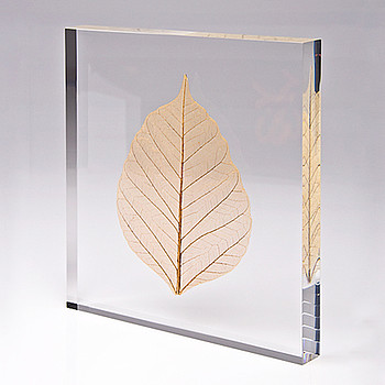 Einbettung „Blatt“