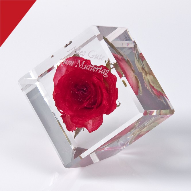 Einbettung „ Rose in Acrylglas“